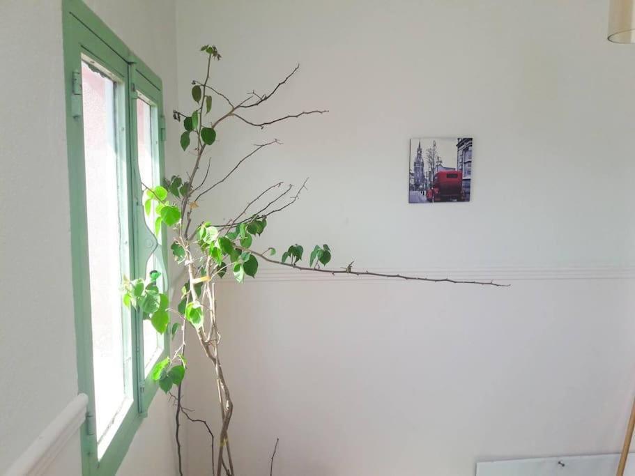 Spacious Apartment In Old Town - Private Parking Tessalónica Exterior foto